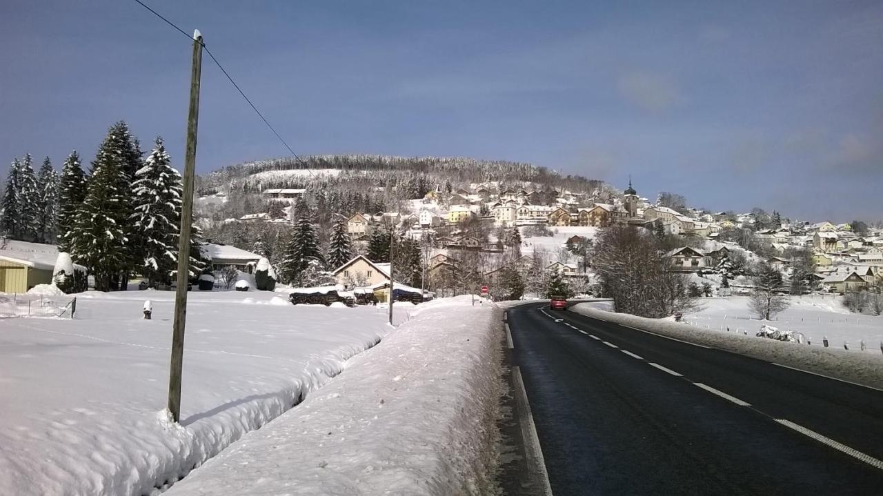 Studio D'Hotes A 10 Km De Gerardmer Le Tholy Ngoại thất bức ảnh