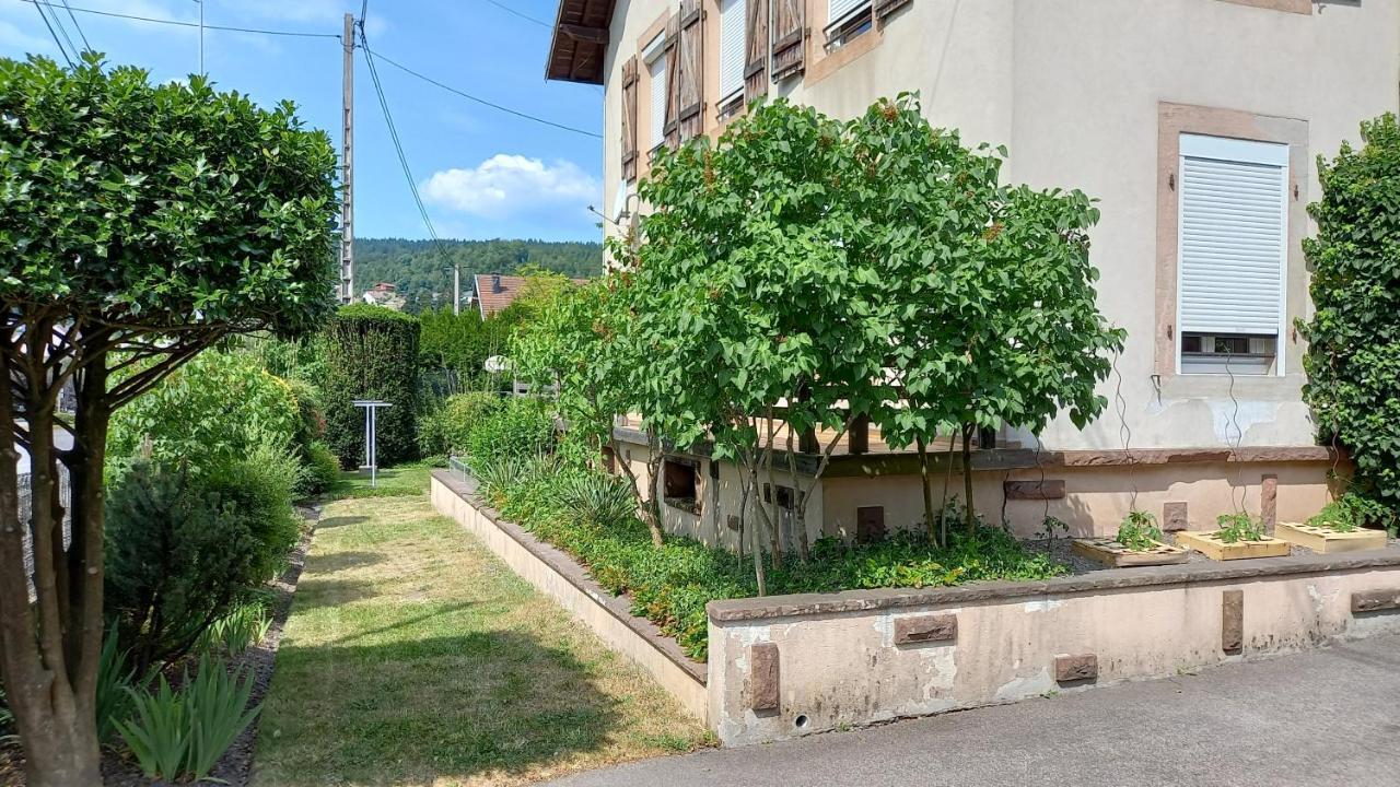 Studio D'Hotes A 10 Km De Gerardmer Le Tholy Ngoại thất bức ảnh